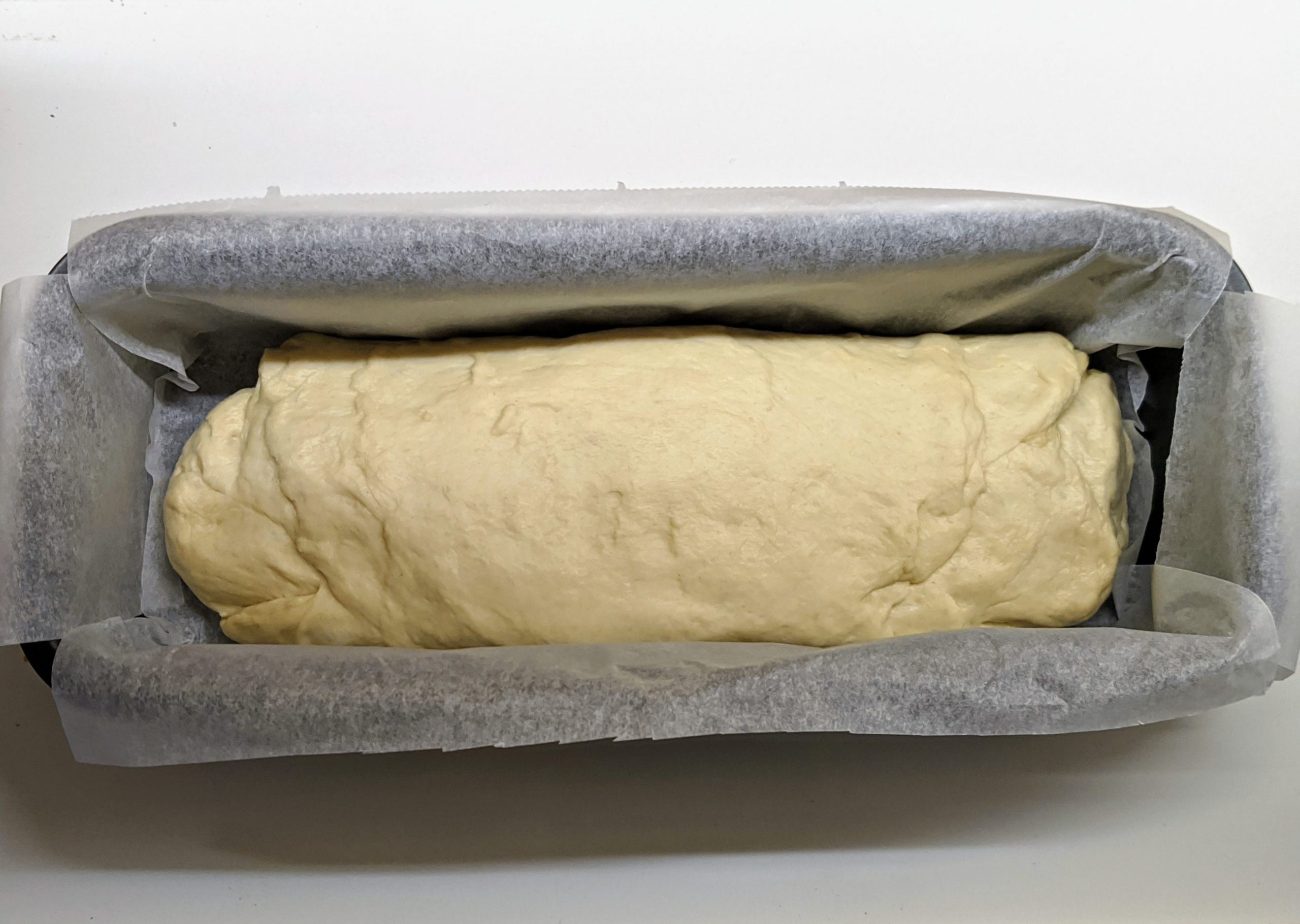 Pan en el molde antes de fermentar