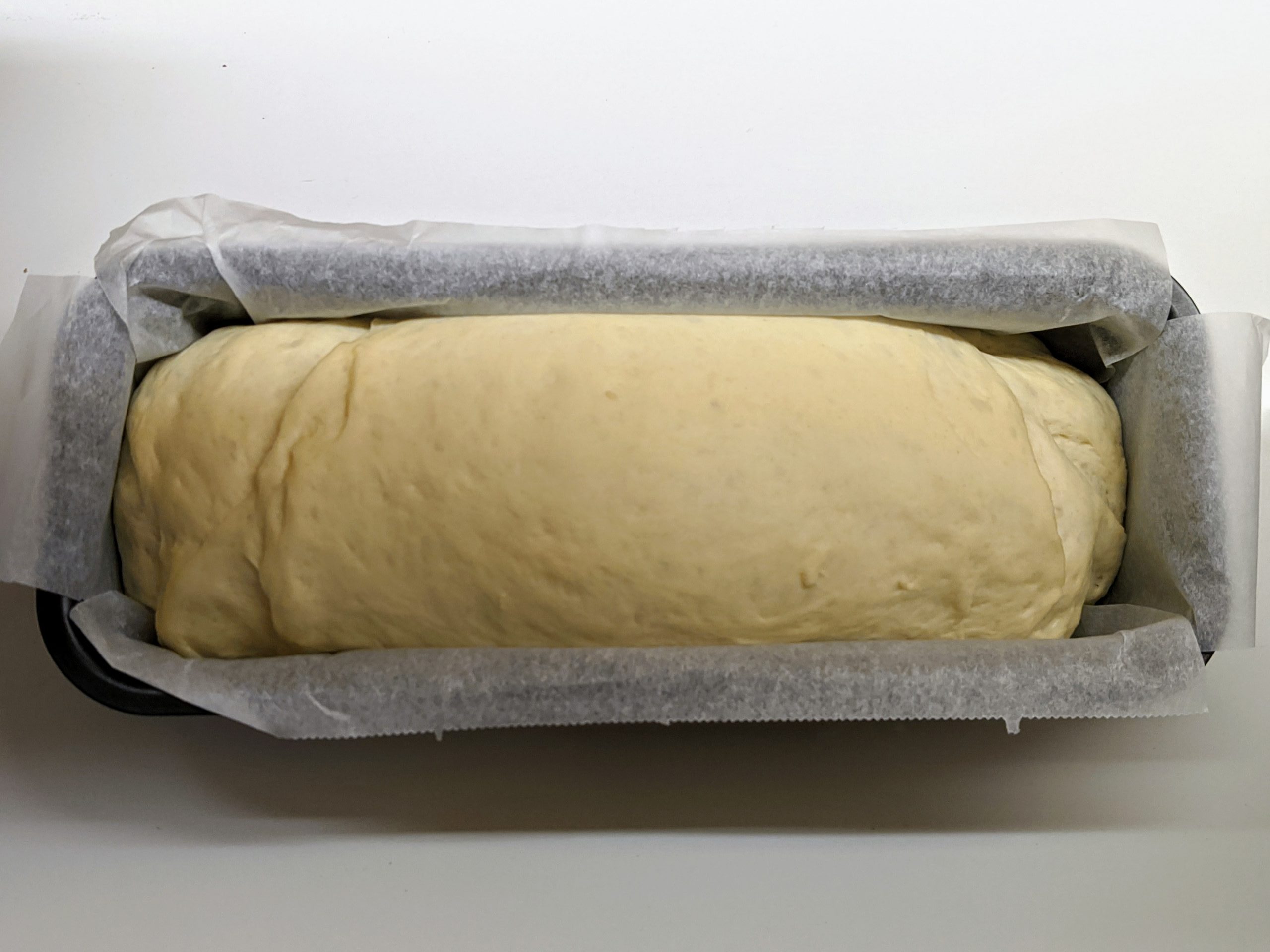 pan de molde fermentado